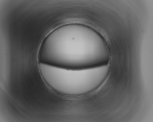 X0000102411521200808011006