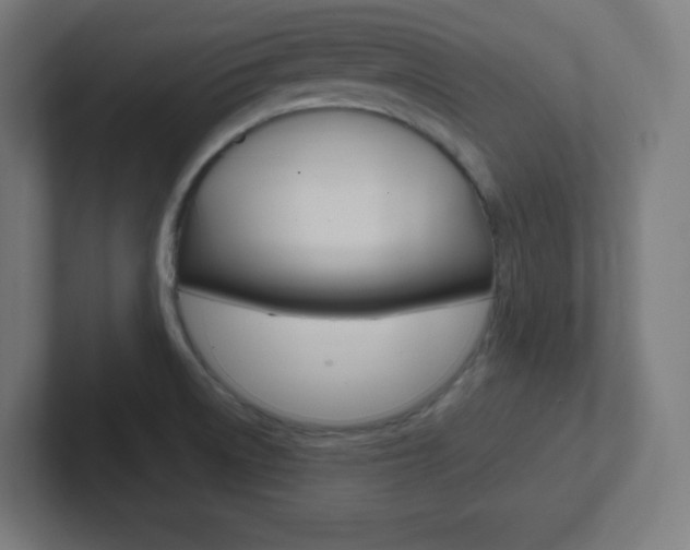 X0000102411522200808011006