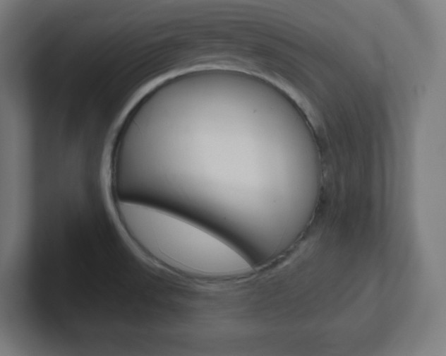 X0000102411523200808011006