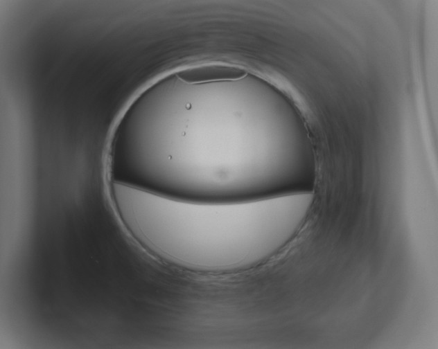 X0000102411524200808011006