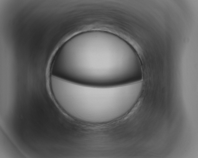 X0000102411525200808011006