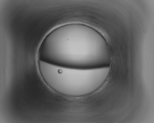 X0000102411526200808011006