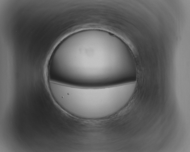 X0000102411527200808011006