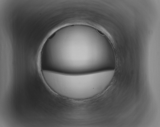 X0000102411528200808011006