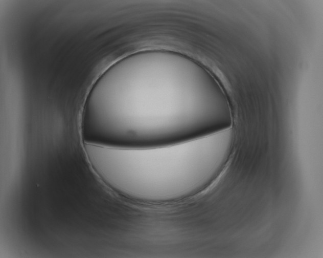X0000102411529200808011006