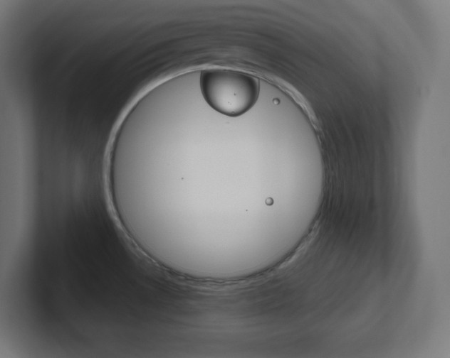 X0000102411530200808011006