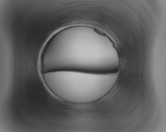 X0000102411531200808011006