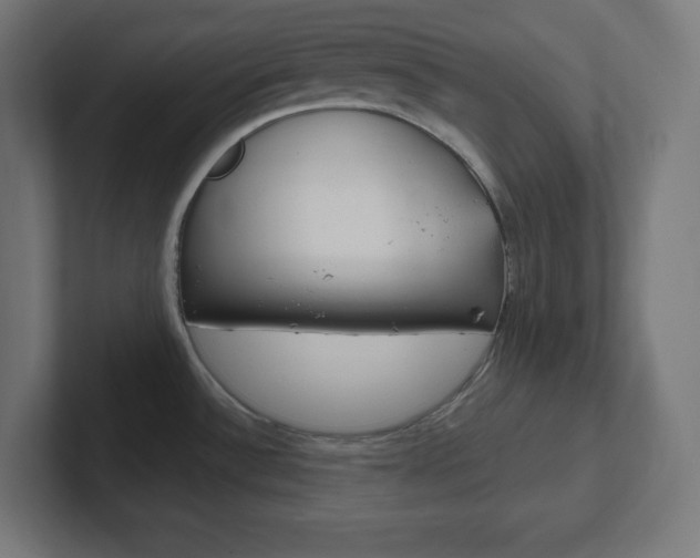 X0000102411532200808011006