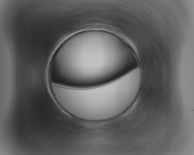 X0000102411533200808011006