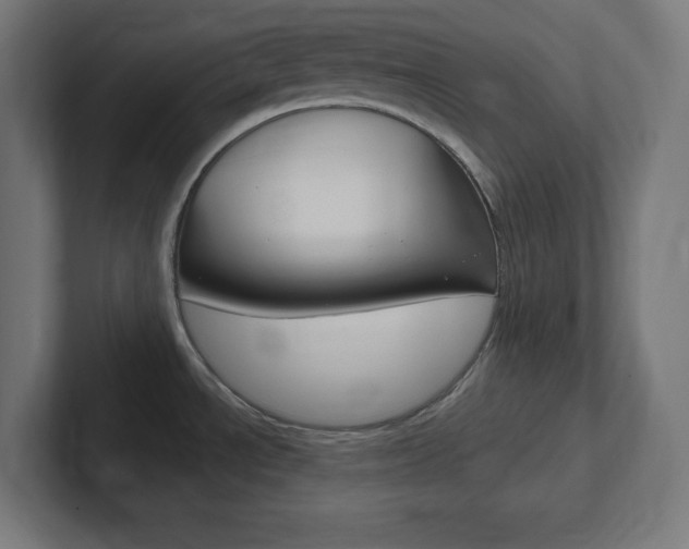 X0000102411534200808011006