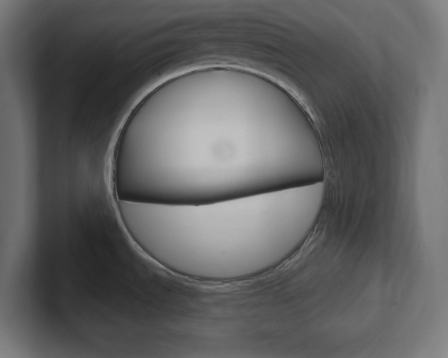 X0000102411535200808011006