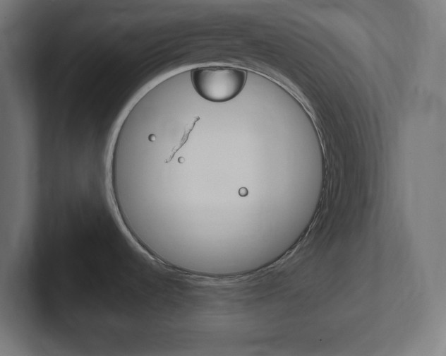 X0000102411536200808011006
