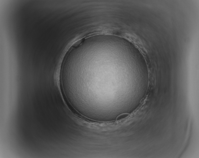 X0000102410003200808011617