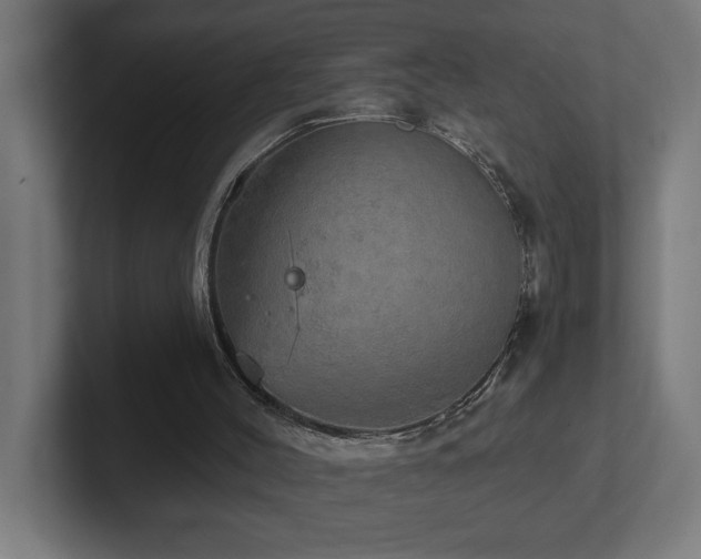 X0000102410004200808011617