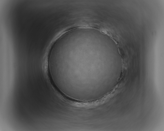 X0000102410005200808011617