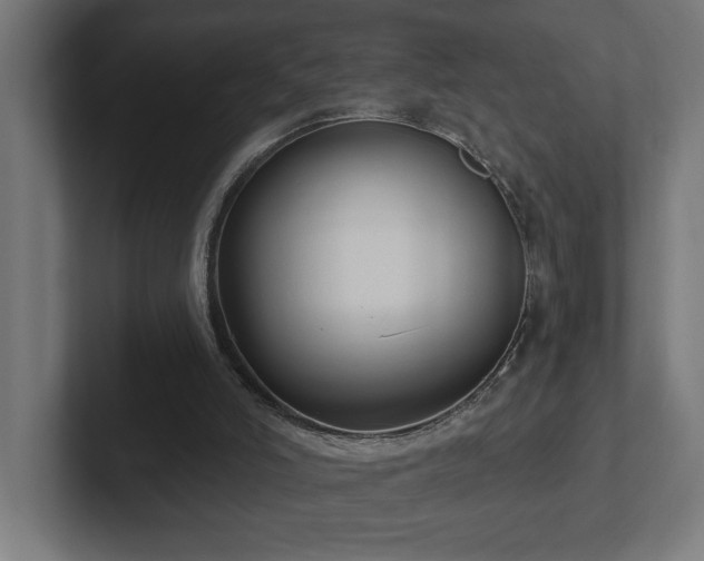 X0000102410006200808011617