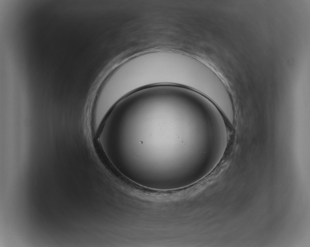 X0000102410007200808011617