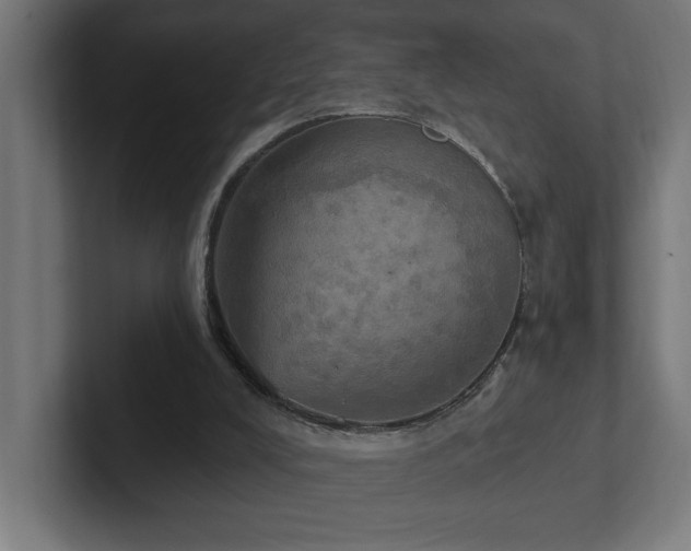 X0000102410008200808011617