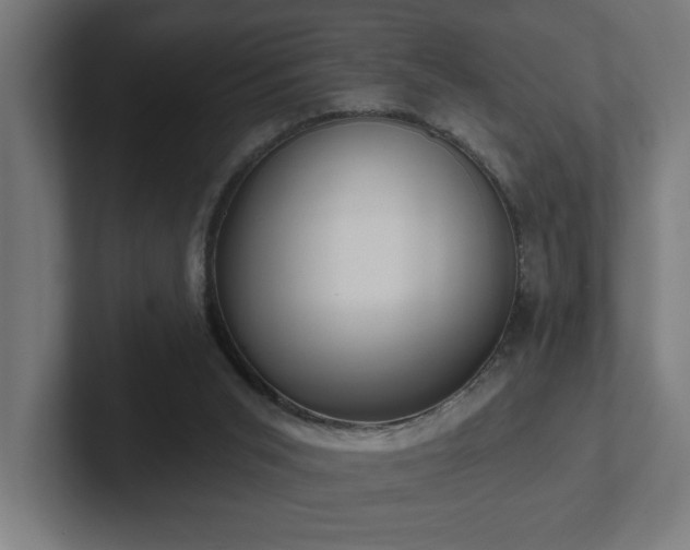 X0000102410015200808011617