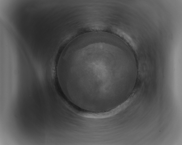 X0000102410017200808011617