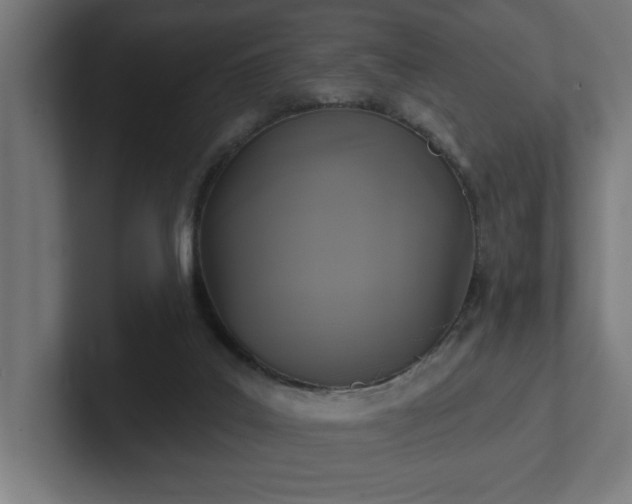 X0000102410019200808011617