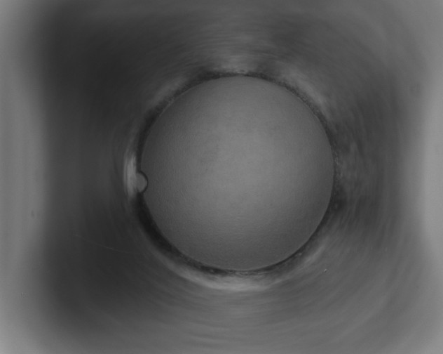 X0000102410020200808011617