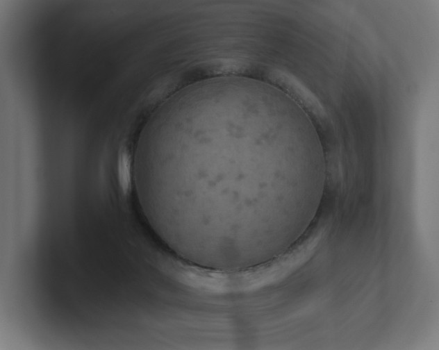 X0000102410022200808011617