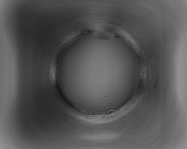 X0000102410023200808011617