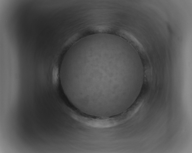 X0000102410024200808011617