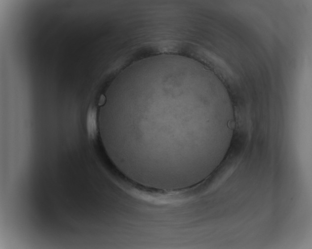 X0000102410028200808011617