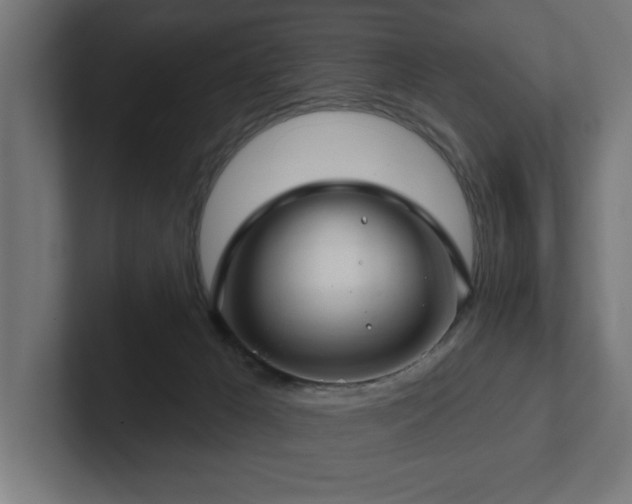 X0000102410029200808011617