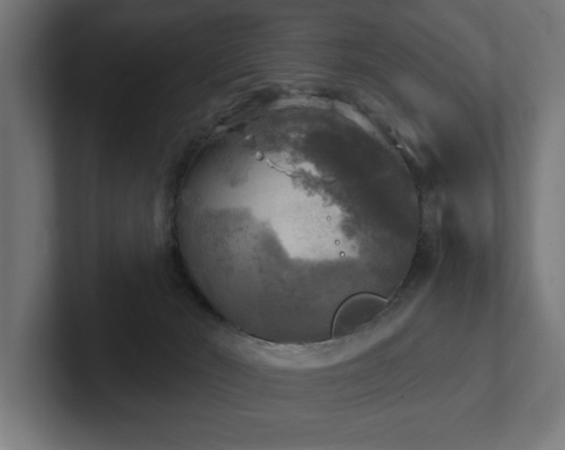 X0000102410030200808011617