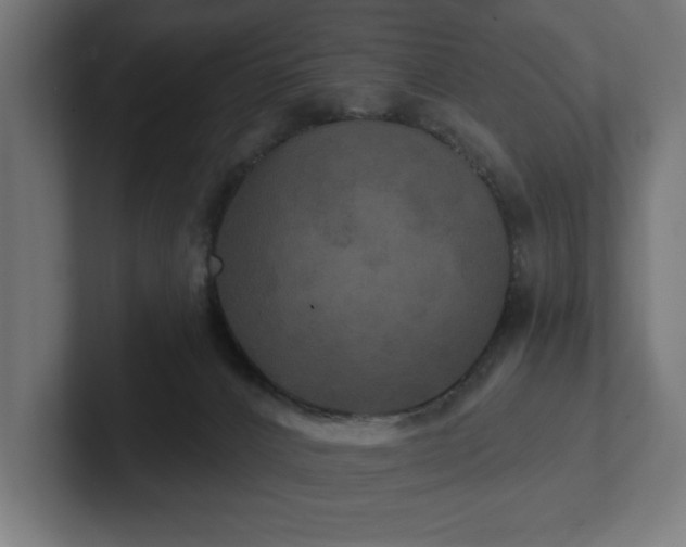 X0000102410032200808011617