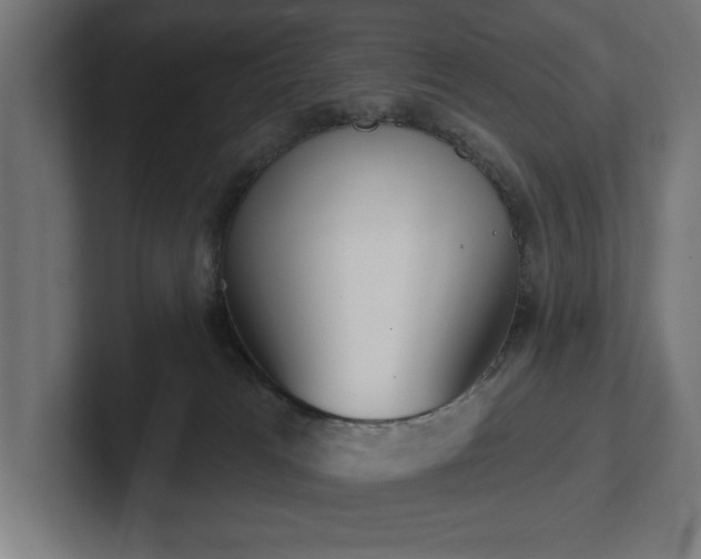 X0000102410037200808011617