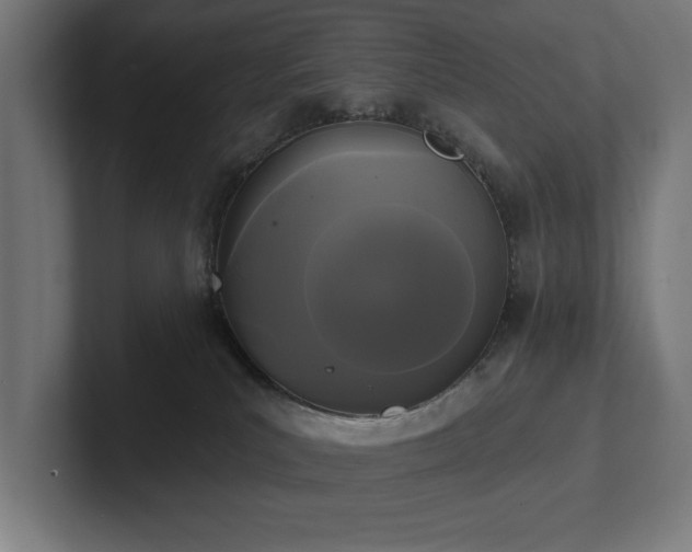 X0000102410039200808011617