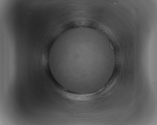 X0000102410040200808011617