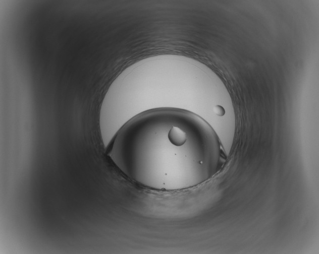 X0000102410041200808011617