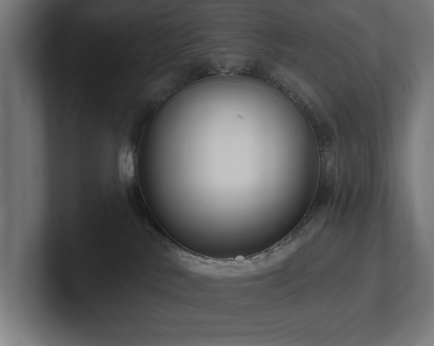 X0000102410042200808011617