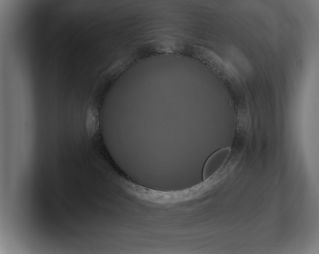 X0000102410043200808011617