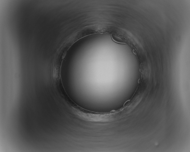 X0000102410044200808011617