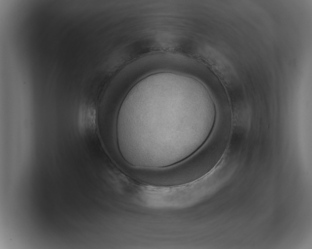 X0000102410045200808011617