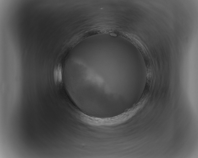 X0000102410046200808011617