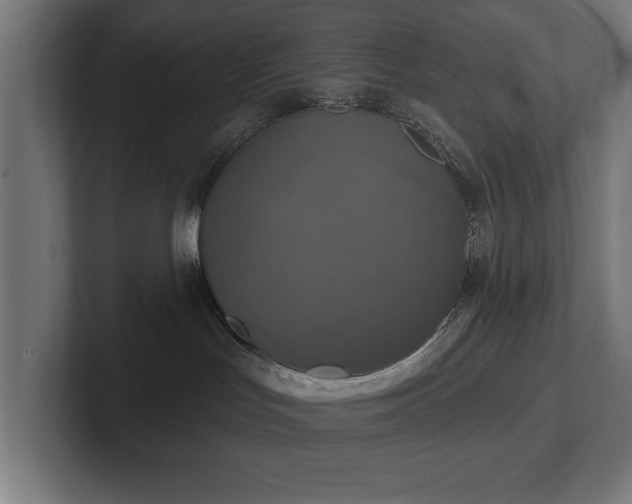 X0000102410047200808011617