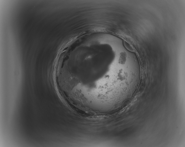 X0000102410049200808011616