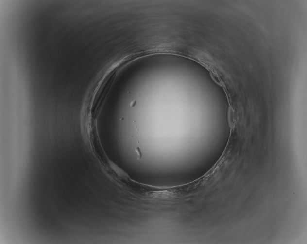 X0000102410050200808011616