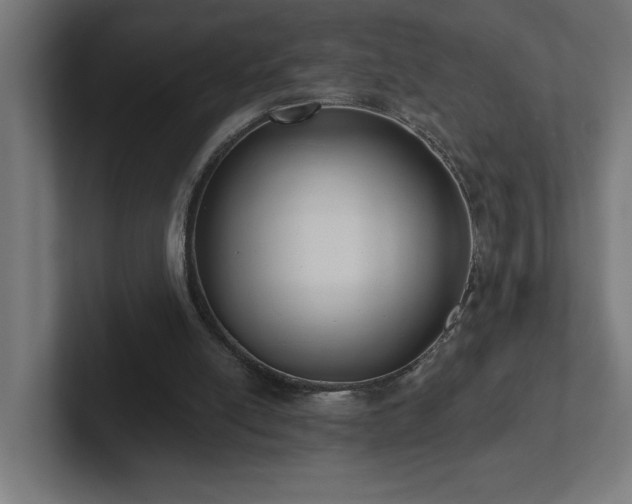 X0000102410054200808011616