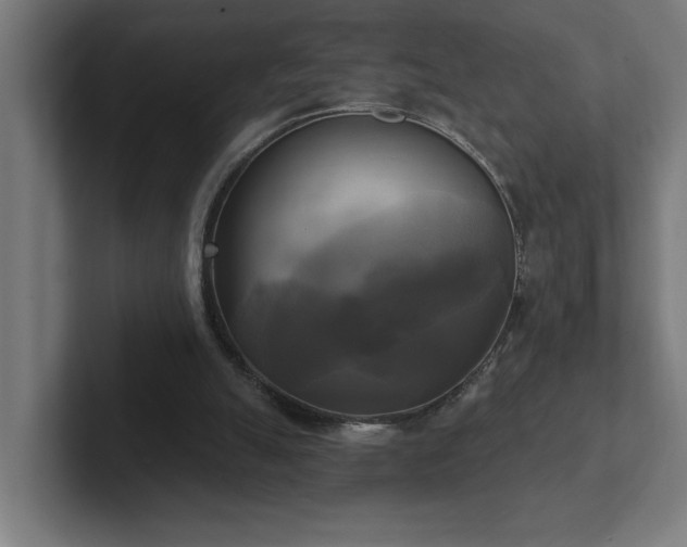 X0000102410055200808011616