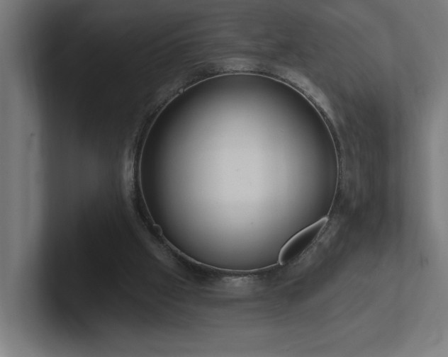 X0000102410057200808011616