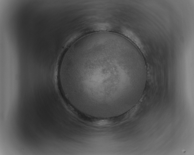 X0000102410058200808011616