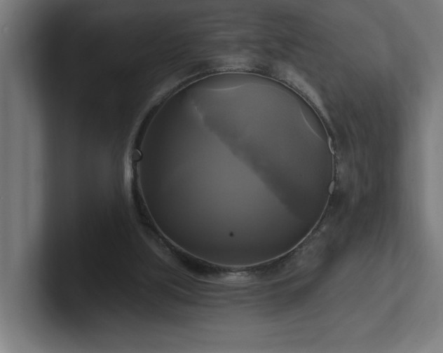 X0000102410059200808011616